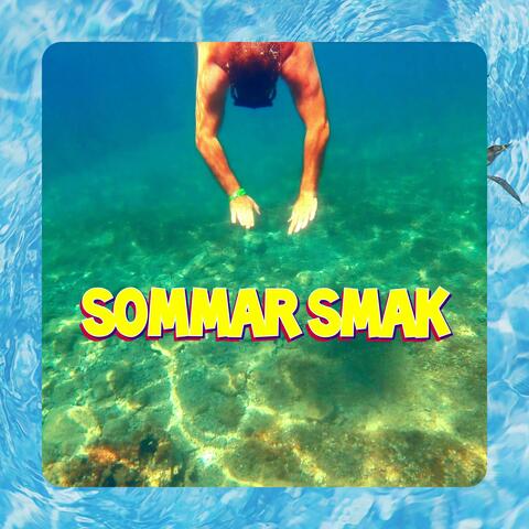 Sommar Smak (feat. AI-data)