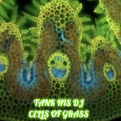 CELLS OF GRASS