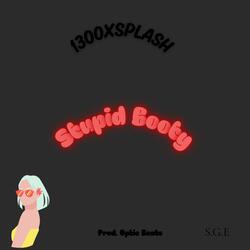 Stupid Booty (Radio Edit)