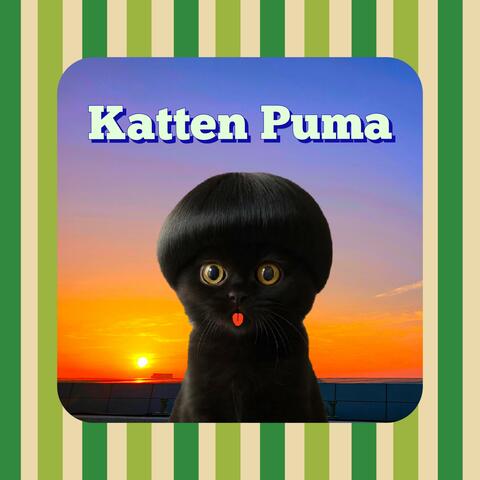 Katten Puma (feat. AI-data)