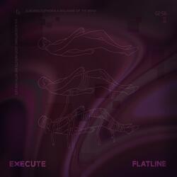 Execute