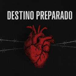 Destino Preparado