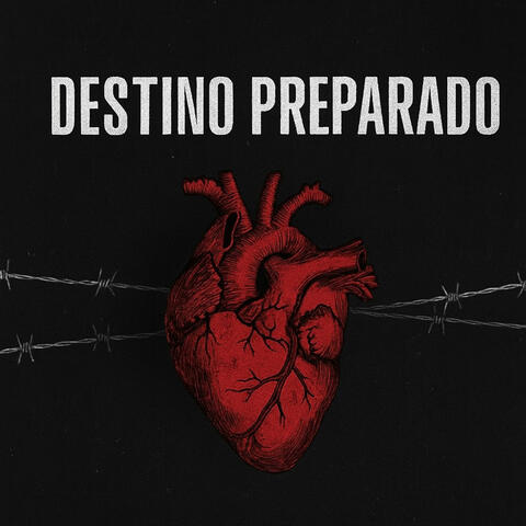 Destino Preparado