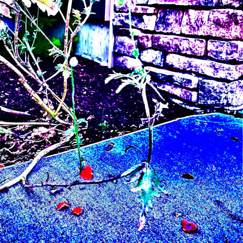 Cold ground