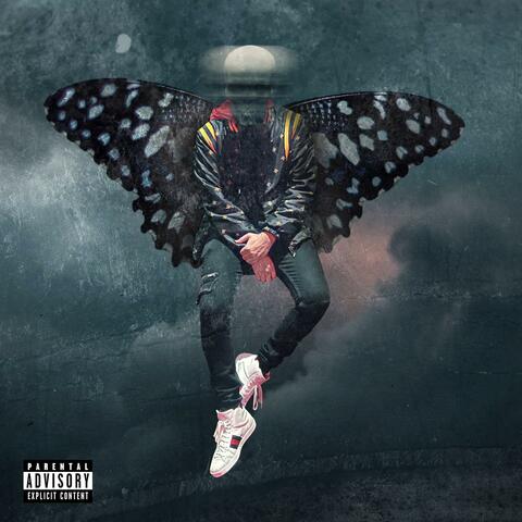 Dead Butterflies