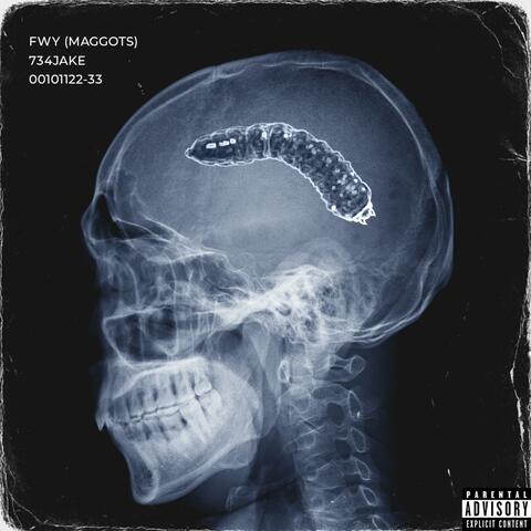 FWY (Maggots)