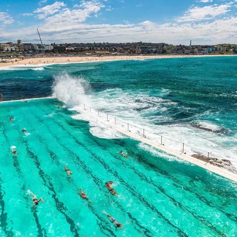 august : summer wave (sydney, bondi beach)