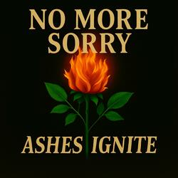 NO MORE SORRY