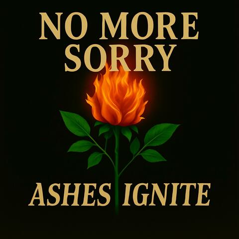 NO MORE SORRY