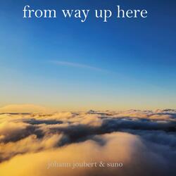 From way up here