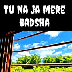 EK WAADA HAI MERA-TU NA JA MERE BADSHAH-INSTRUMENTAL
