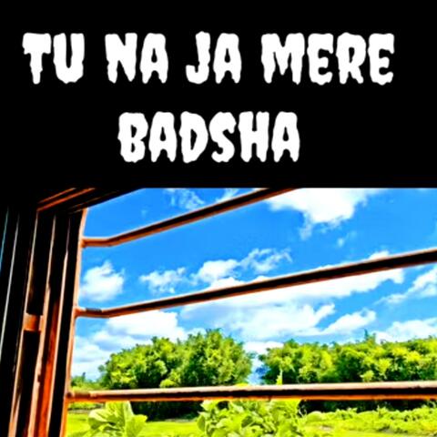 EK WAADA HAI MERA-TU NA JA MERE BADSHAH-INSTRUMENTAL
