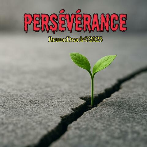Persévérance