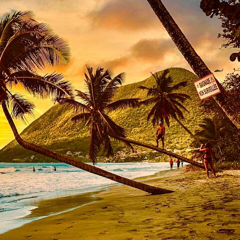 la belle vie et plein d'oseille (feat. Haslo)