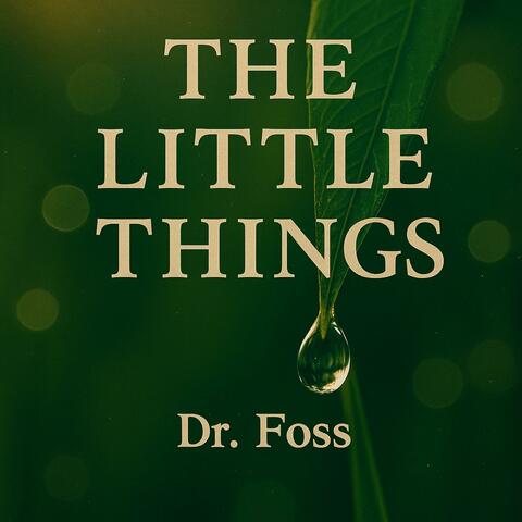 The Little Things