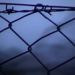 Barbed Wire