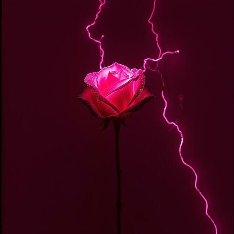 We Don't Talk Like That (Dark Mode)