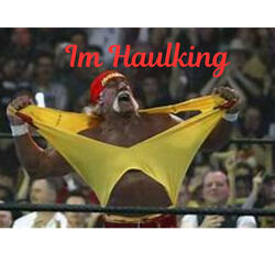 Haulking