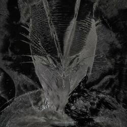Mantidi (feat. Lowcura & Seven Diosma)