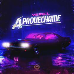 Aprovechame