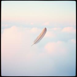 さよならも言えないまま