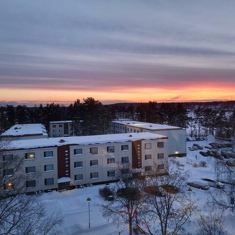 Loviisa Vice City