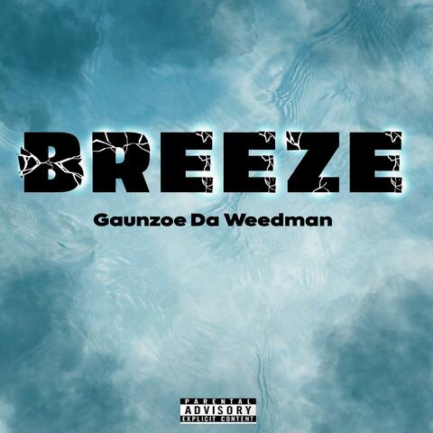 #Breeze (feat. latenitecreu)