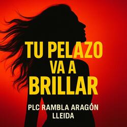 Tu Pelazo Va a Brillar