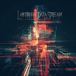 Labyrinthine Data Stream