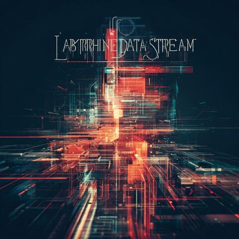 Labyrinthine Data Stream