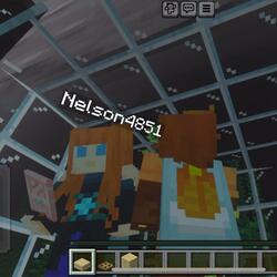 Vi spelar Minecraft tillsammans