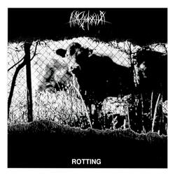 Rotting (Demo)