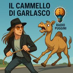 Il Cammello di Garlasco