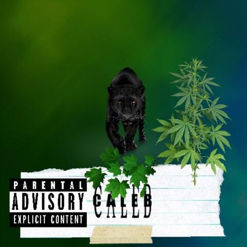 Caleb The Album