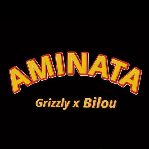 Aminata (feat. Bilou XIV)