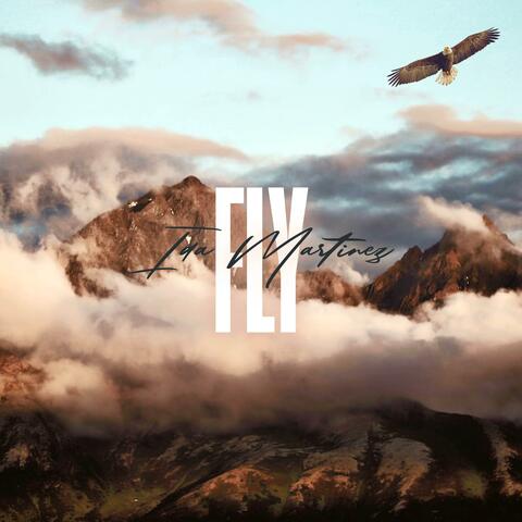 Fly