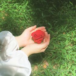 Fading away (feat. Yuri Shin)