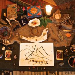 spiders, spiders... spiders