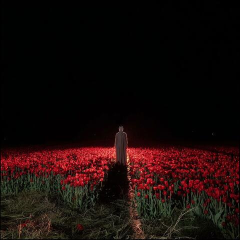 RED IS LUVV BLVCK IS SORROW