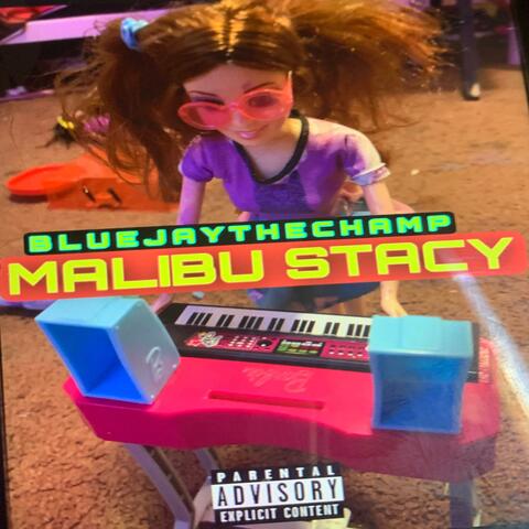 MALIBU STACY