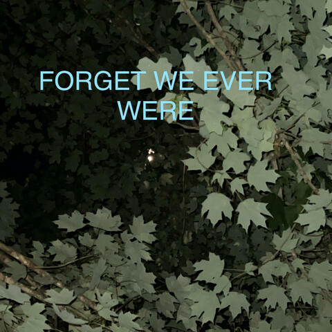 FORGET WE EVER WERE