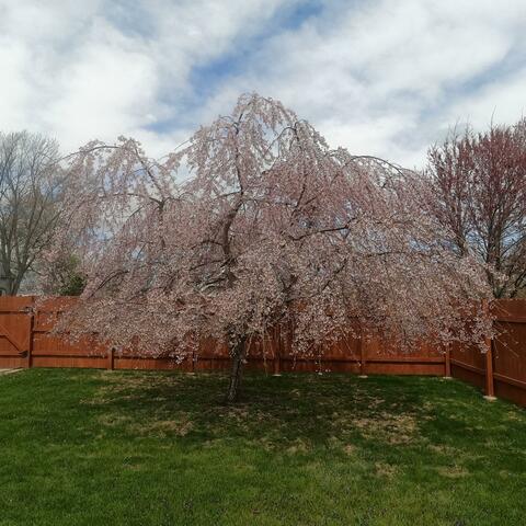 Nothing On The Internet