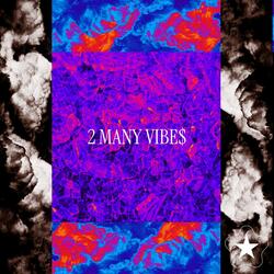2 MANY VIBE$