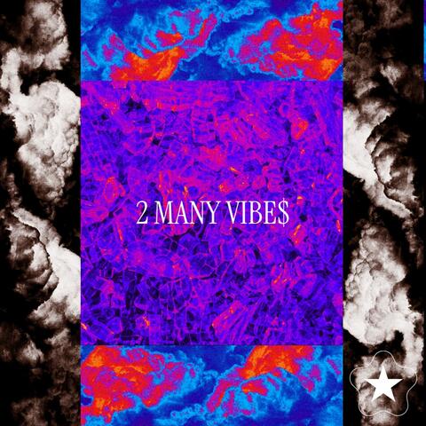 2 MANY VIBE$