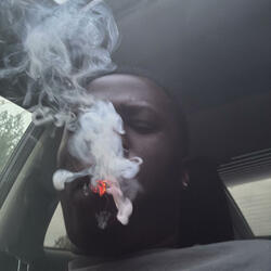 stl flow