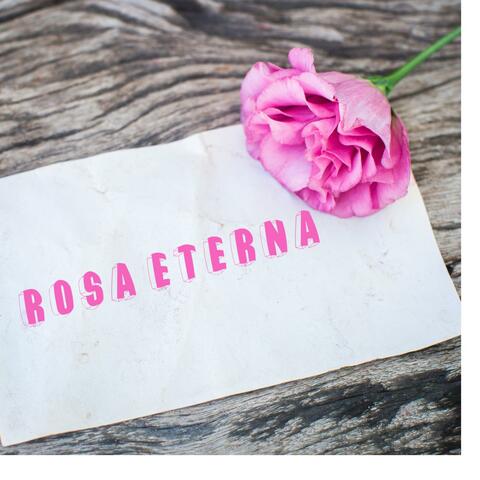 rosa eterna