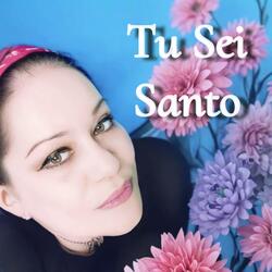 Tu Sei Santo