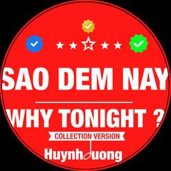 SAO ĐÊM NAY - WHY TONIGHT ? (10 COLLECTION Version)