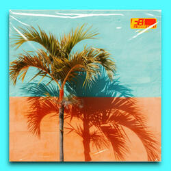 Higher (Tropical Instrumental)