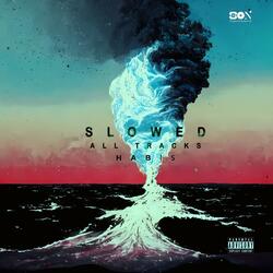 Another (Slowed Version)